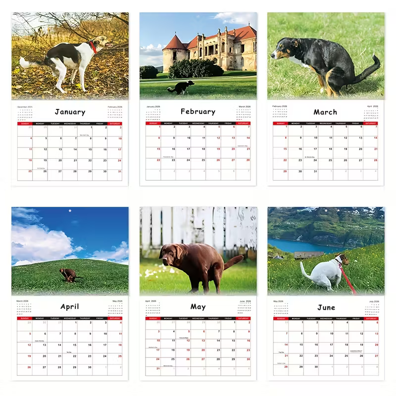 Hundbajs-kalender 2026